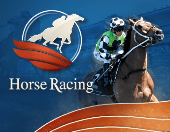 HORSEBOOK